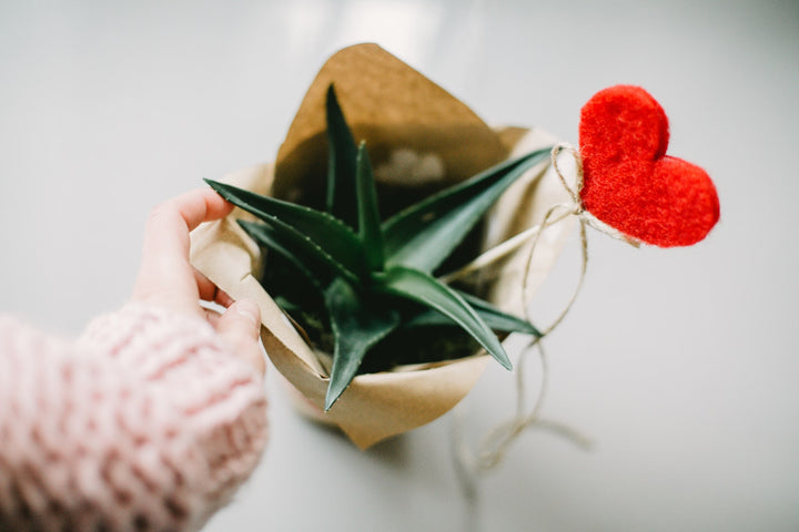 You Can’t Go Wrong with These 5 Valentine’s Day Decor Gift Ideas