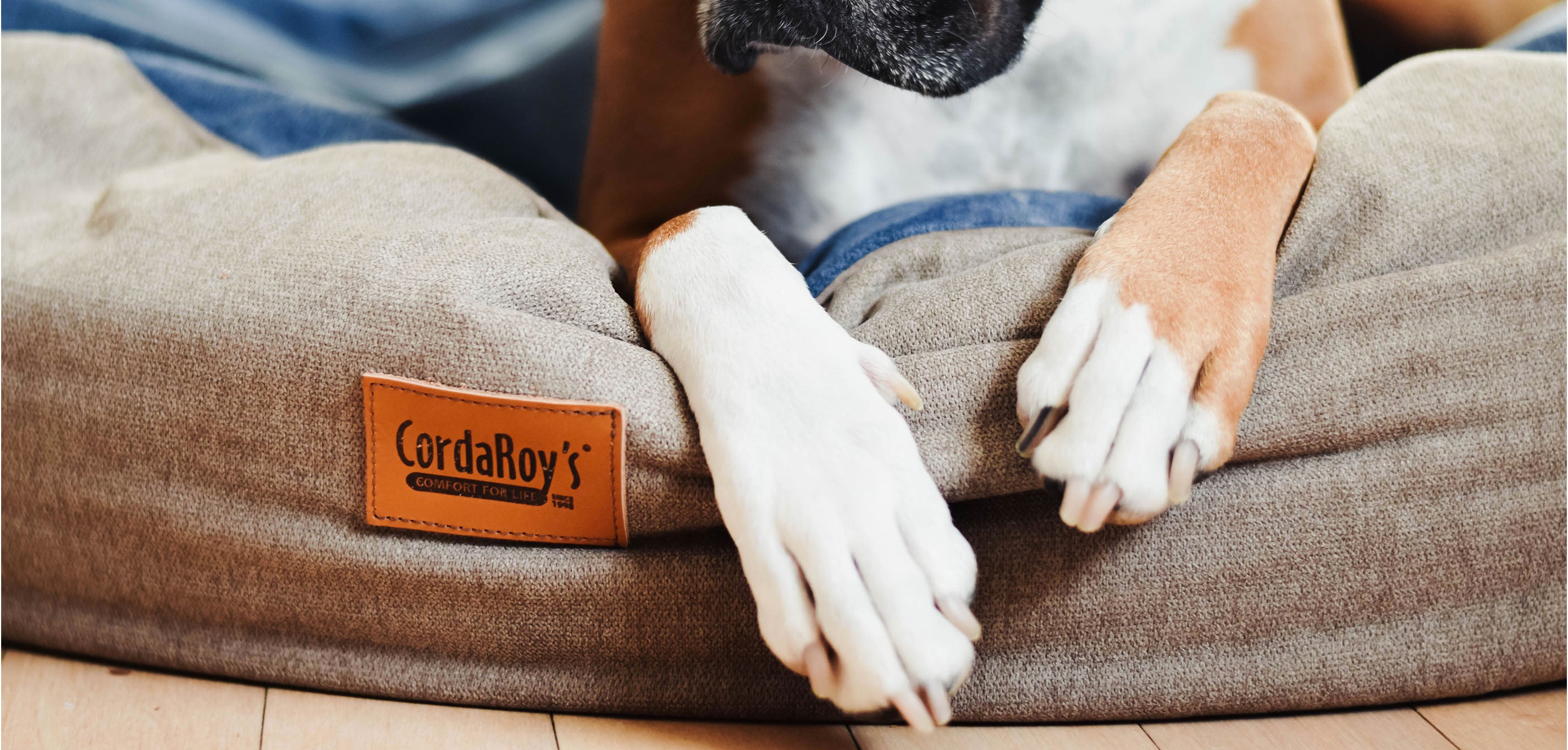 Cordaroys store dog bed