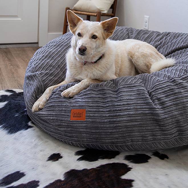 40 Inch Forever Dog Beds (Waterproof) - Terry Corduroy