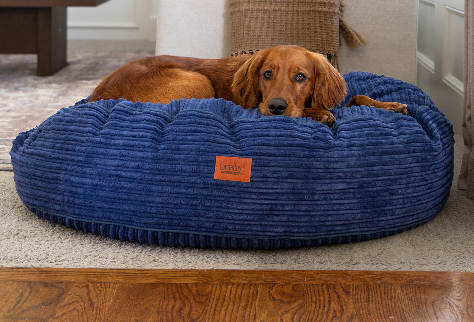 Forever Dog Beds
