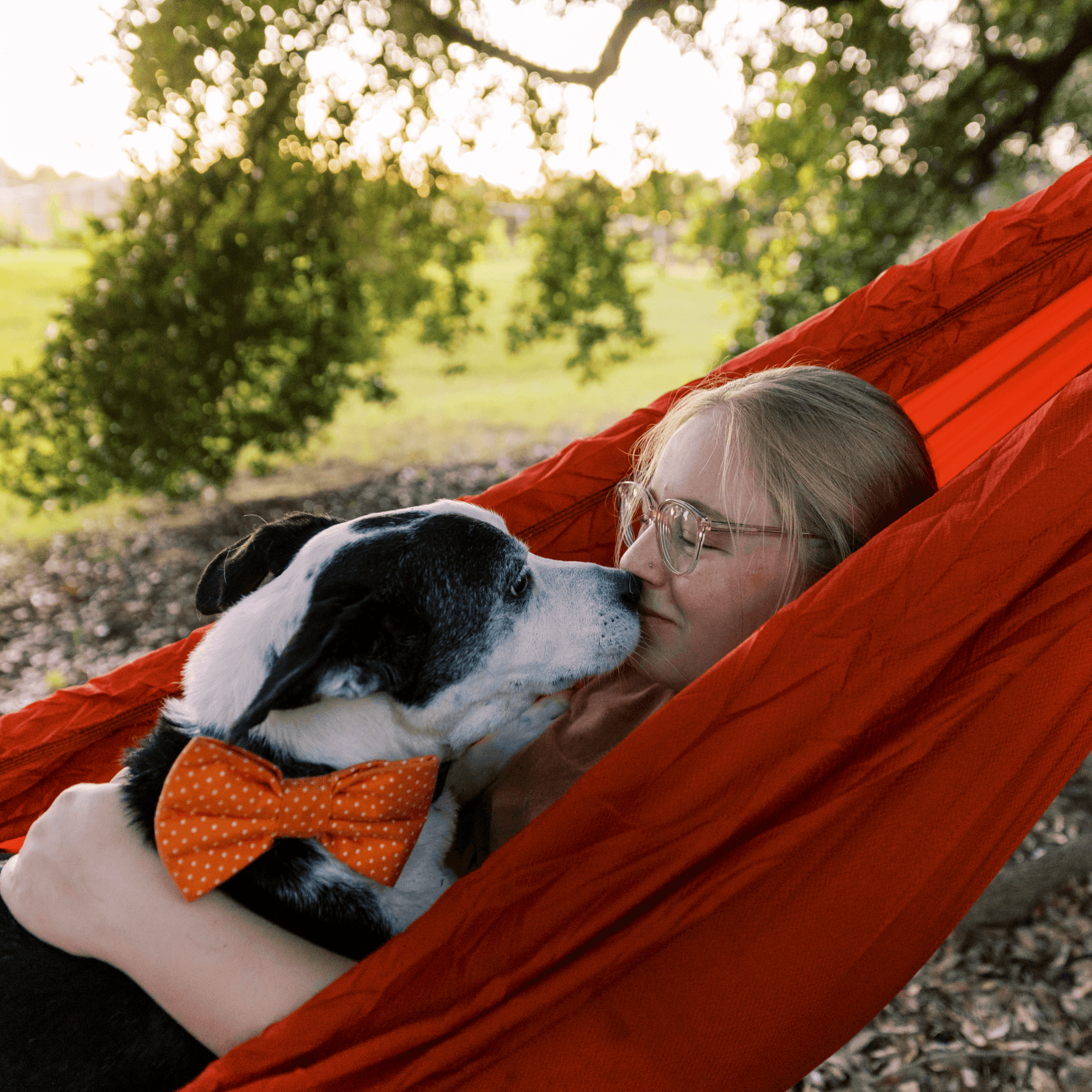 Dog sales travel hammock