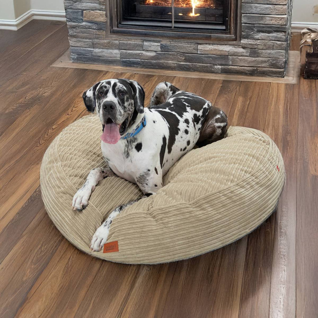 Dog lying on a beige pet bed in front of a stone fireplace.