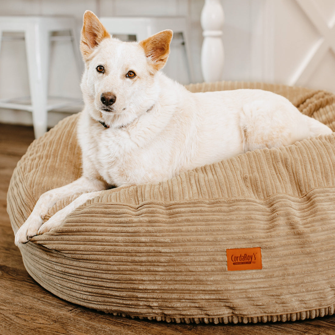 50 Inch Forever Dog Bed (Waterproof) - Terry Corduroy