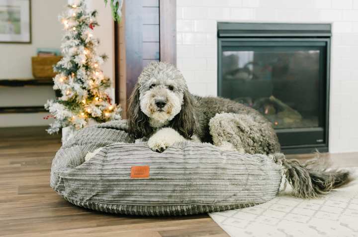 A dog on a CordaRoy's dog bed in a living room. 