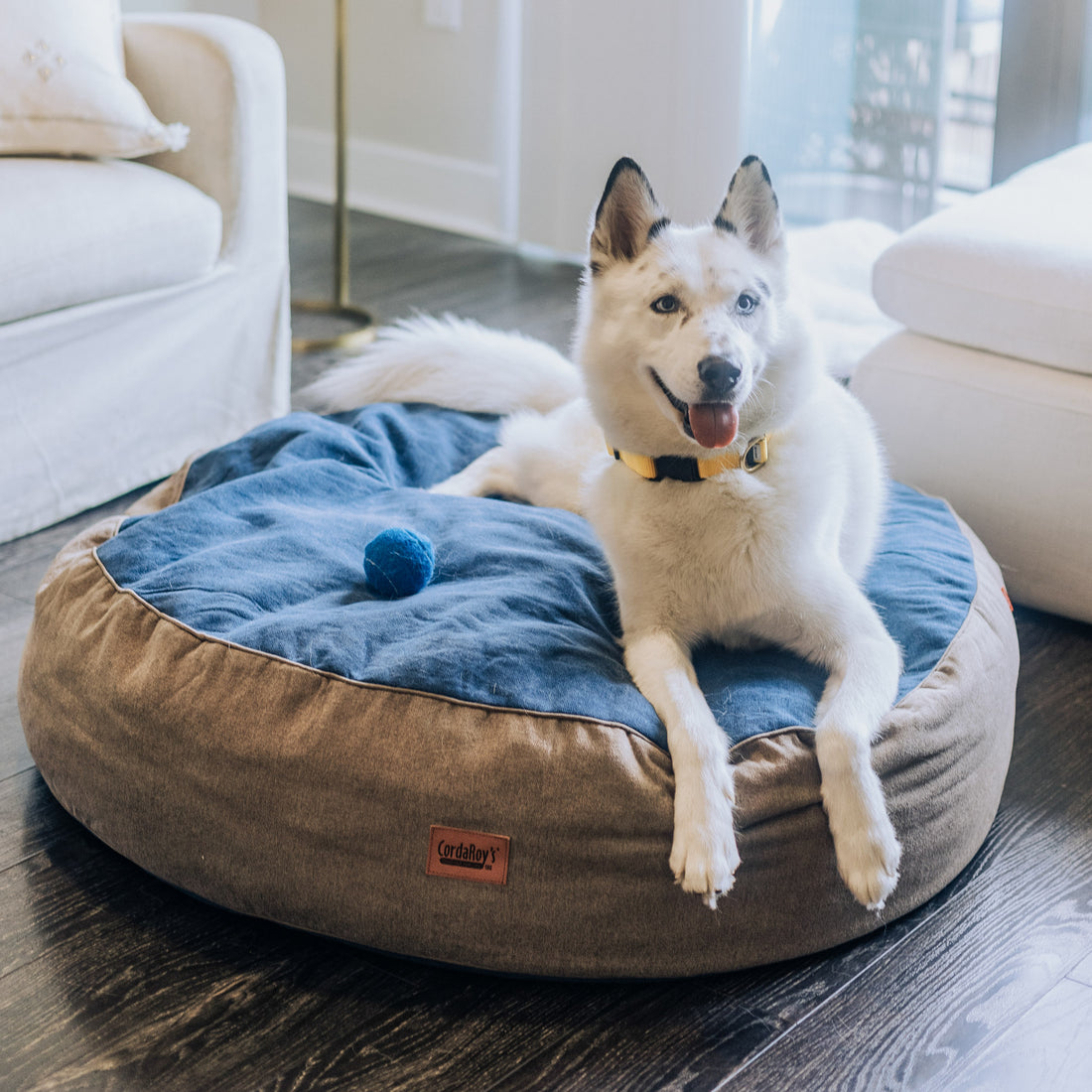 3 Unique Gifts for Under $50