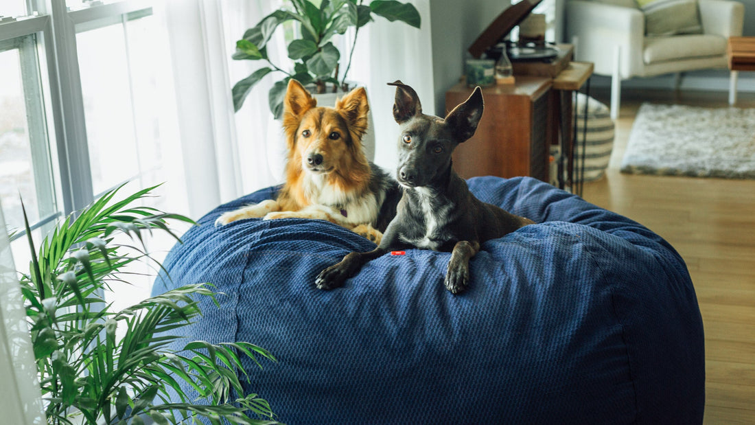 How to Wash a Bean Bag