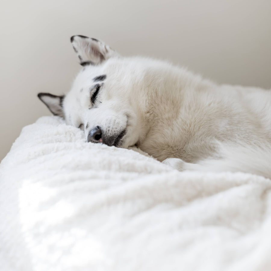 Bean Bag - Full - Faux Fur