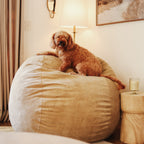Bean Bag - King - Corduroy