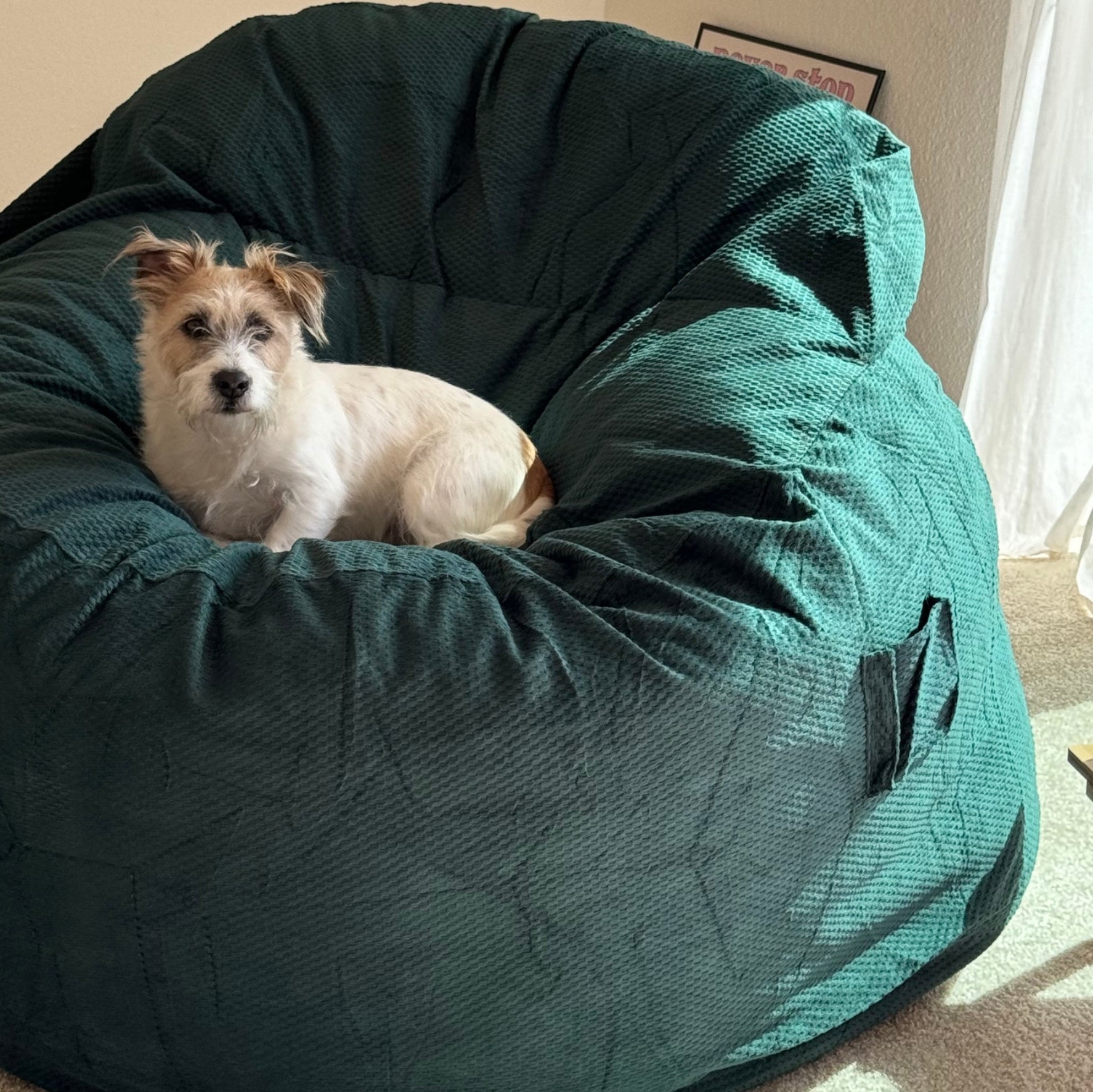 Adult Bean Bag Chair - King - NEST Chenille
