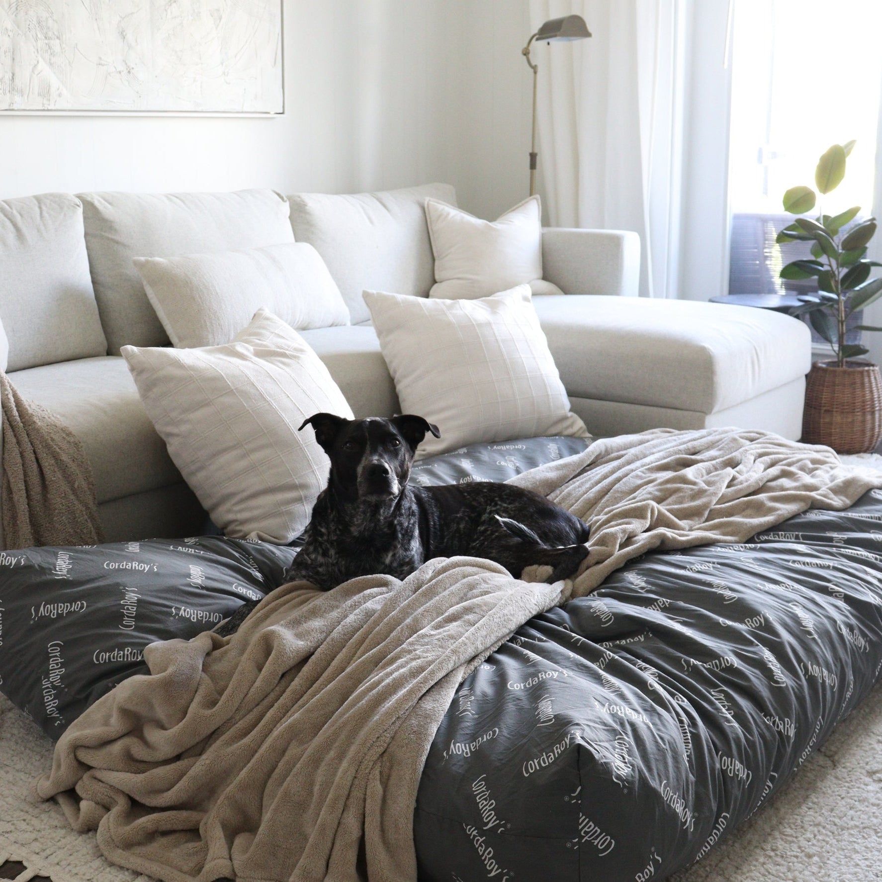 Full Bed Only