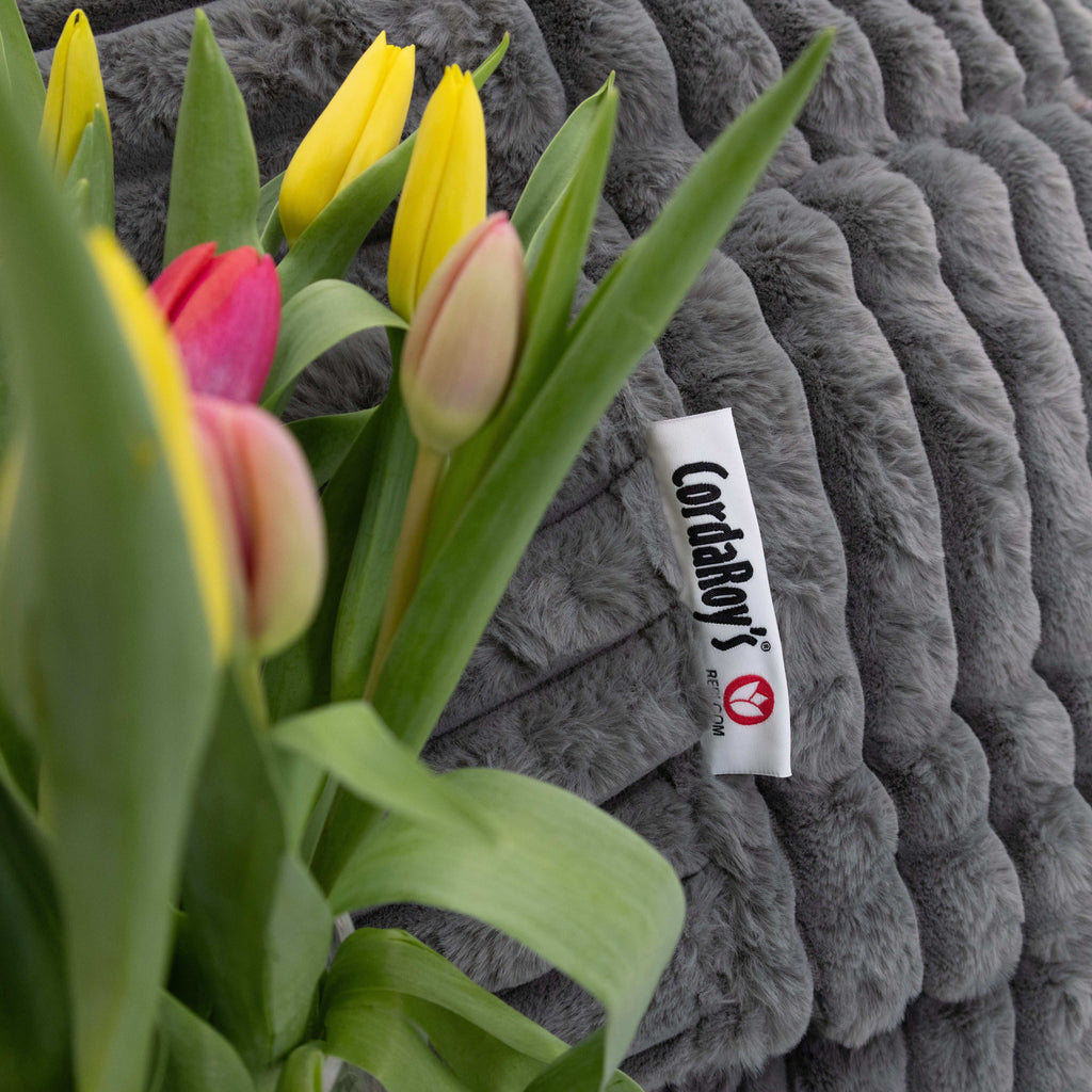 Rebloom Bean Bag by CordaRoy’s