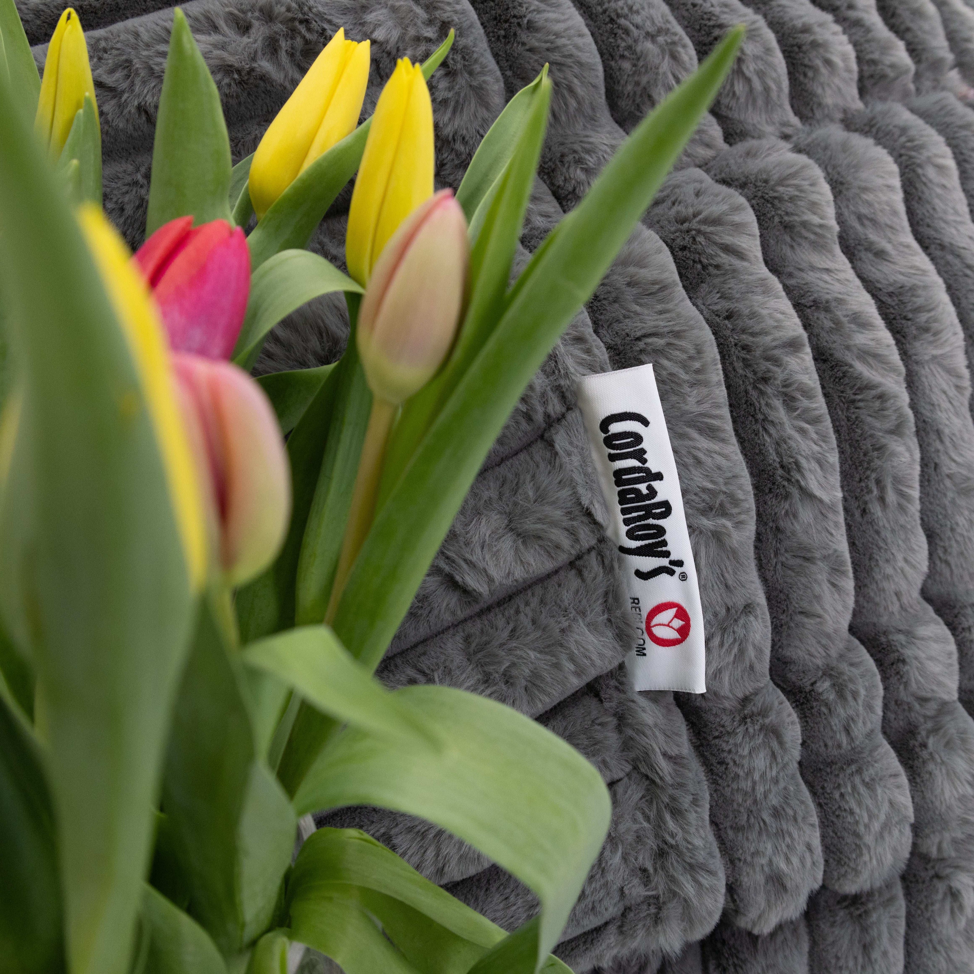 Rebloom Bean Bag by CordaRoy’s