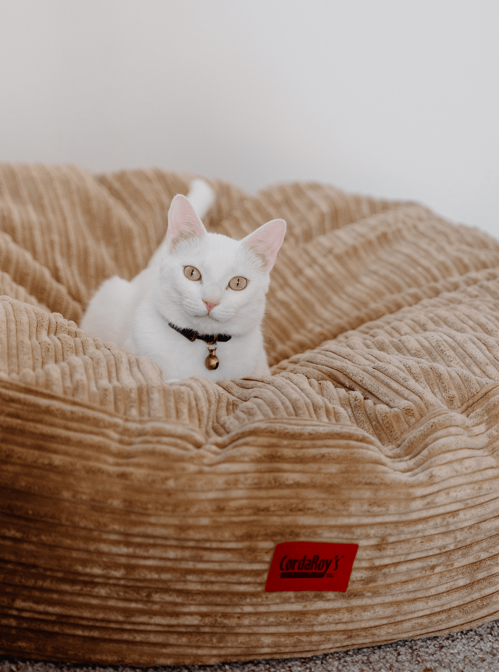 30 Inch Forever Dog Beds (Waterproof) - Terry Corduroy