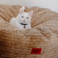 30 Inch Forever Dog Beds (Waterproof) - Terry Corduroy