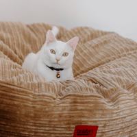 30 Inch Forever Dog Beds (Waterproof) - Terry Corduroy