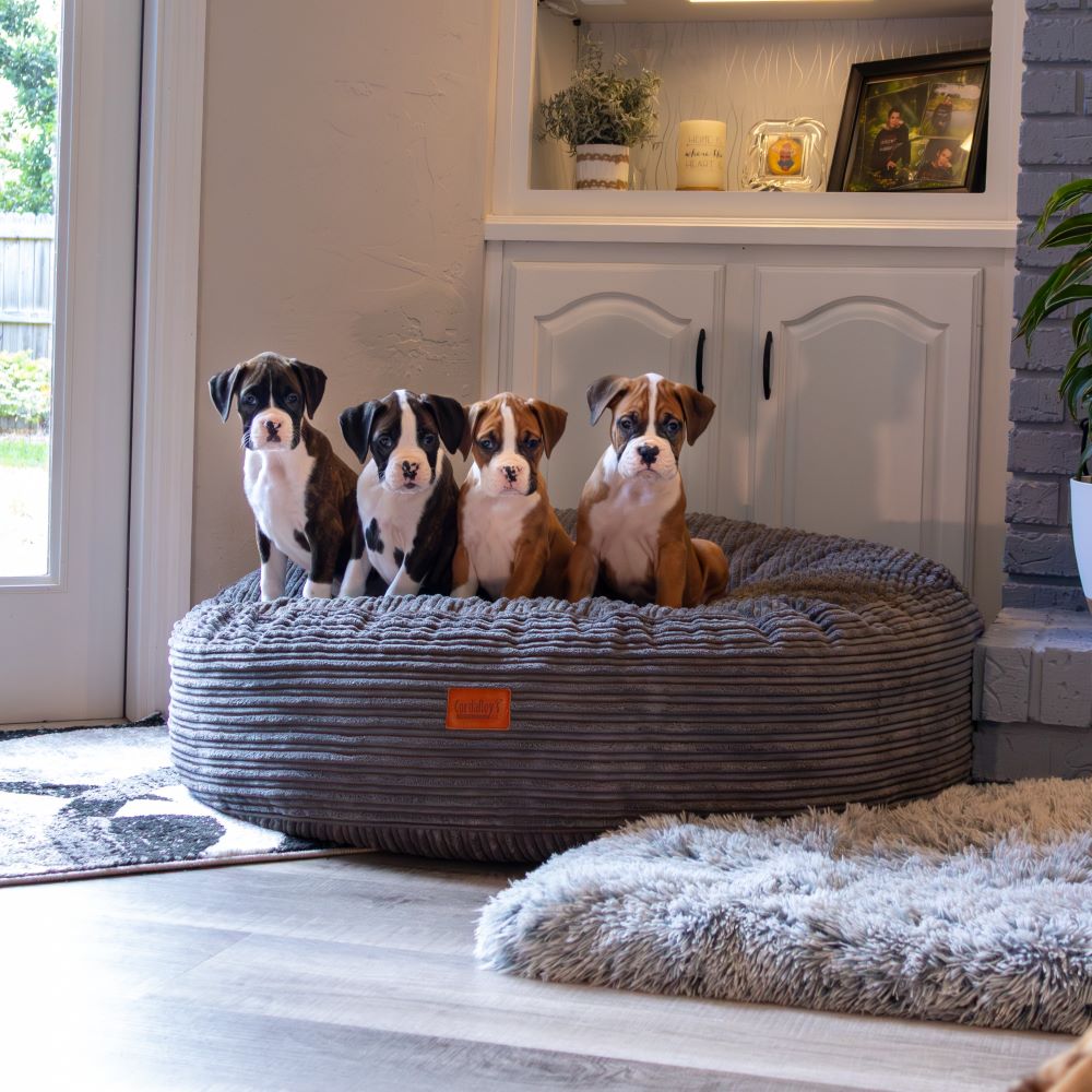 50 Inch Forever Dog Bed (Waterproof) - Terry Corduroy