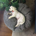 30 Inch Forever Dog Beds (Waterproof) - Terry Corduroy