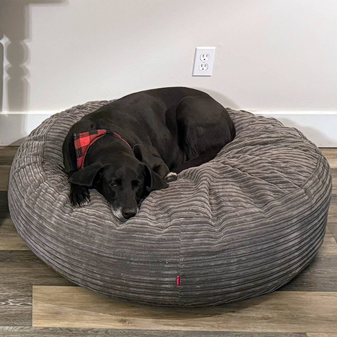 CordaRoy s 40 Waterproof Terry Corduroy Forever Dog Bed Brown