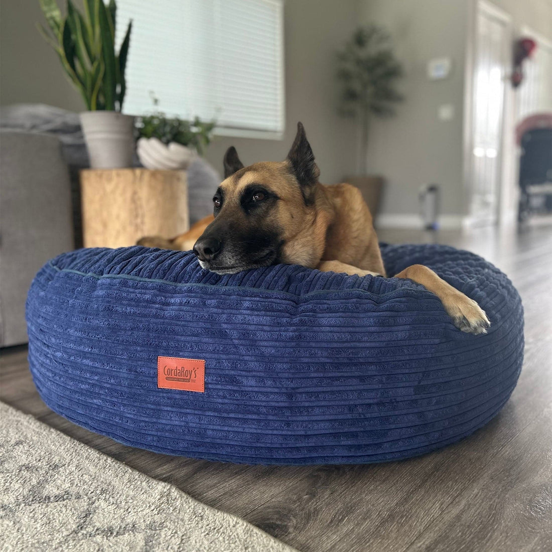 50 Inch Forever Dog Beds (Waterproof) - Terry Corduroy