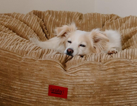 Ines Bean Bag-Hand Knitted-Foam Beads Filling-Tear Resistant white, 1 unit  - Harris Teeter