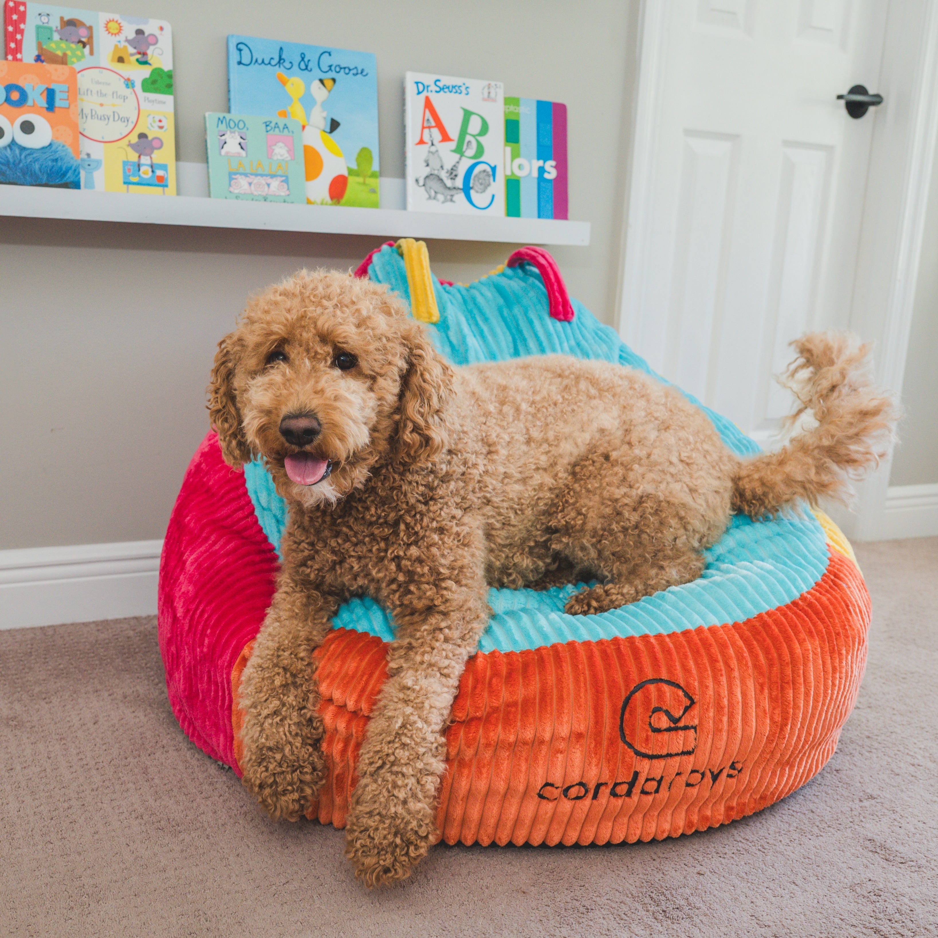 Bambino Kids Chair