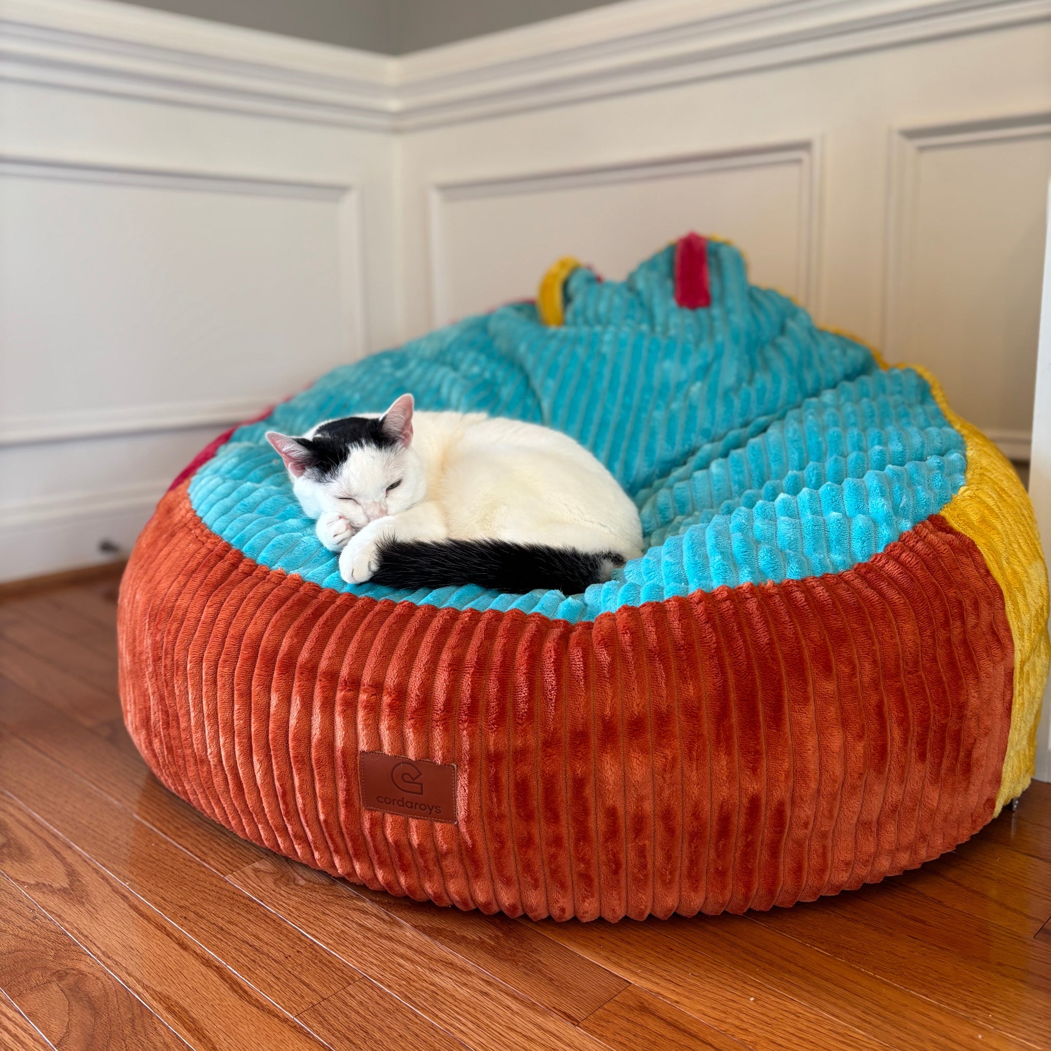 Multicolored bean bag with a cat lying on it in a room with wooden flooring and white walls.