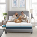 A couple relaxing on the 12-inch Cooling Memory Foam Mattress with their golden retriever