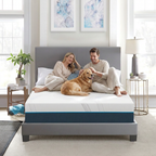 A couple relaxing on the 12-inch Cooling Memory Foam Mattress with their golden retriever