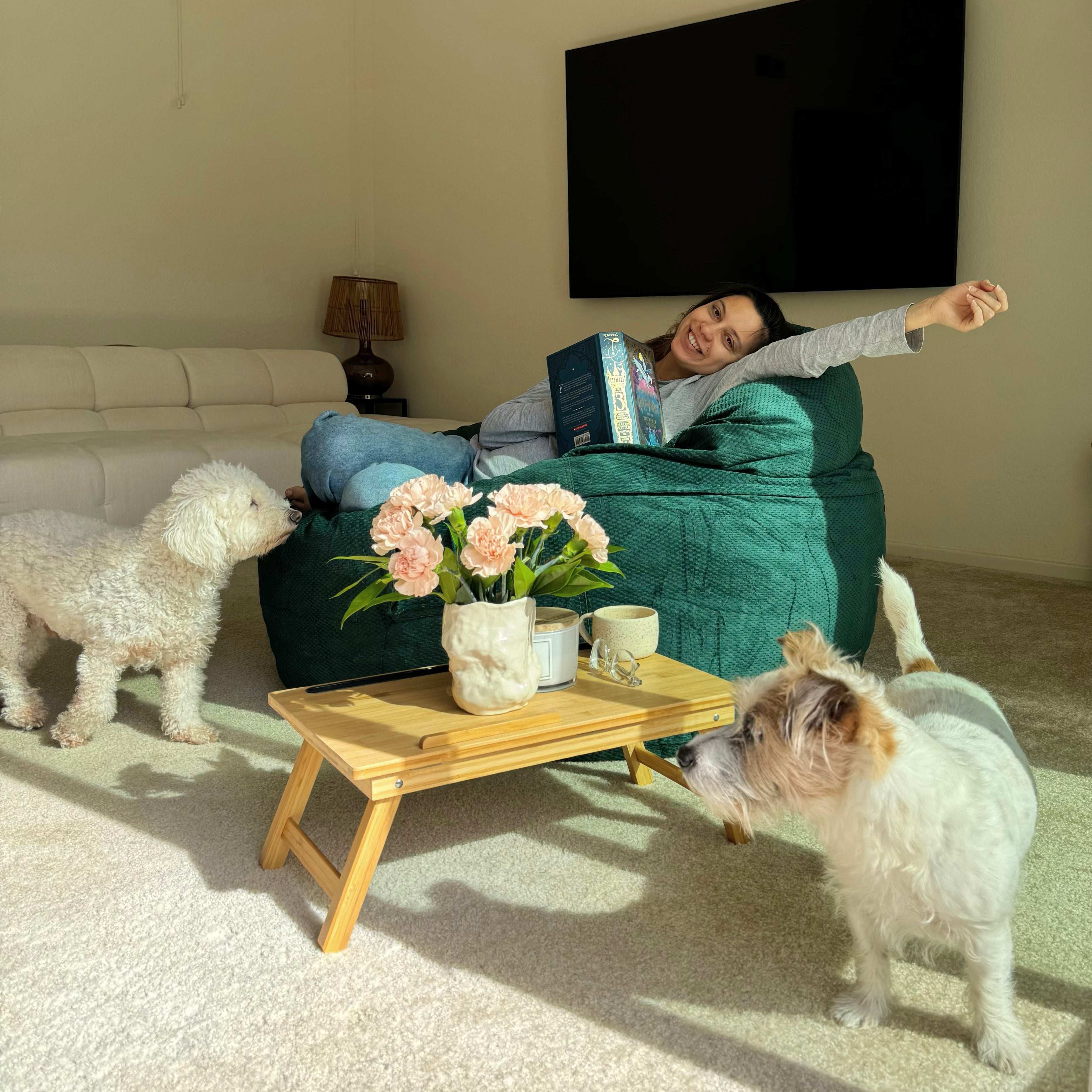 Adult Bean Bag Chair - Full - NEST Chenille