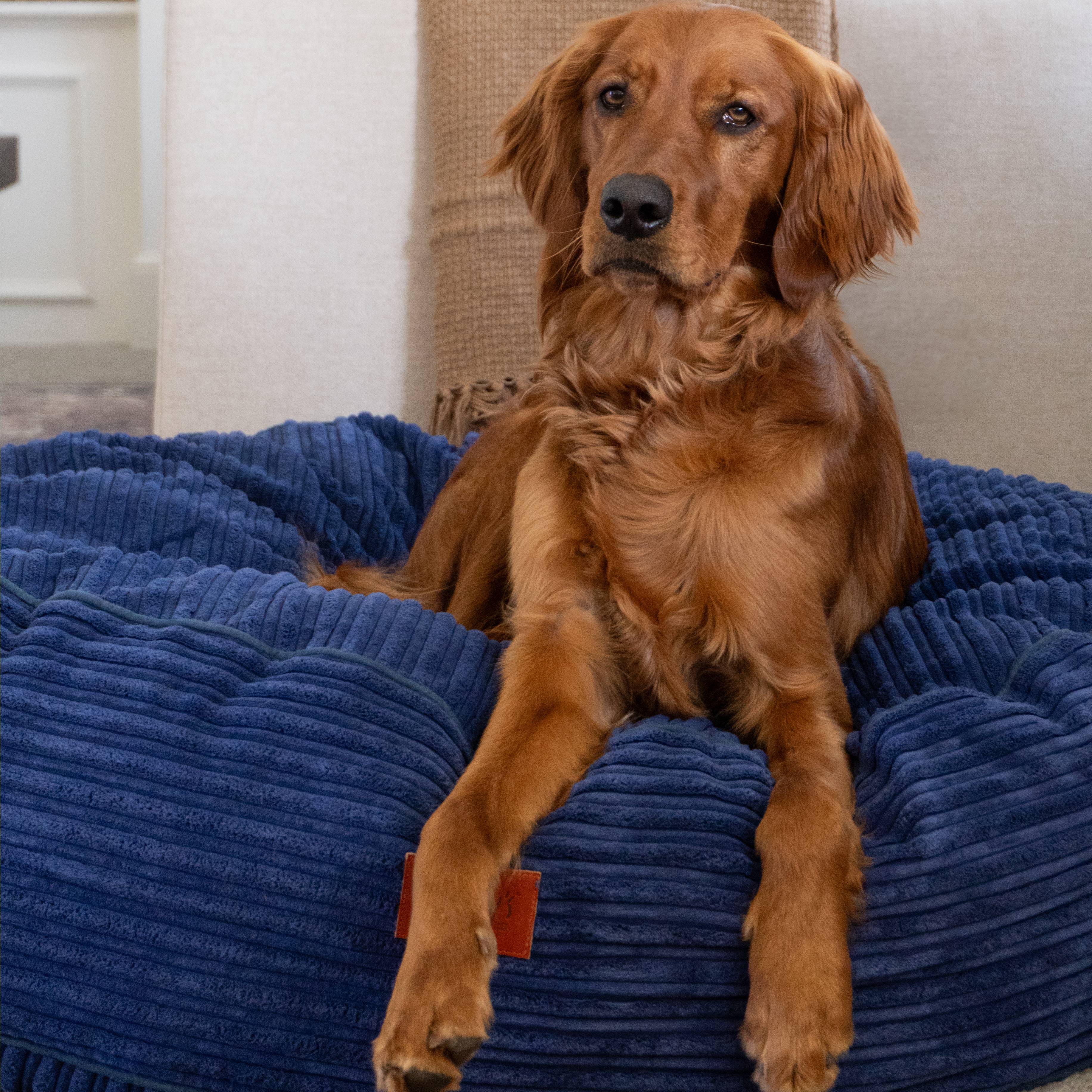40 Inch Forever Dog Bed (Waterproof) - Terry Corduroy