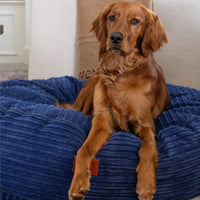 50 Inch Forever Dog Beds (Waterproof) - Terry Corduroy