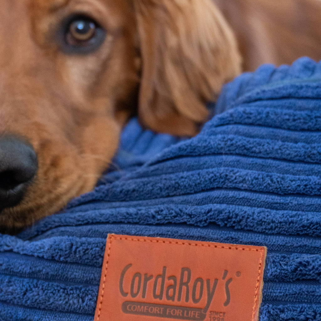 40 Inch Forever Dog Bed (Waterproof) - Terry Corduroy
