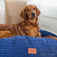 50 Inch Forever Dog Beds (Waterproof) - Terry Corduroy