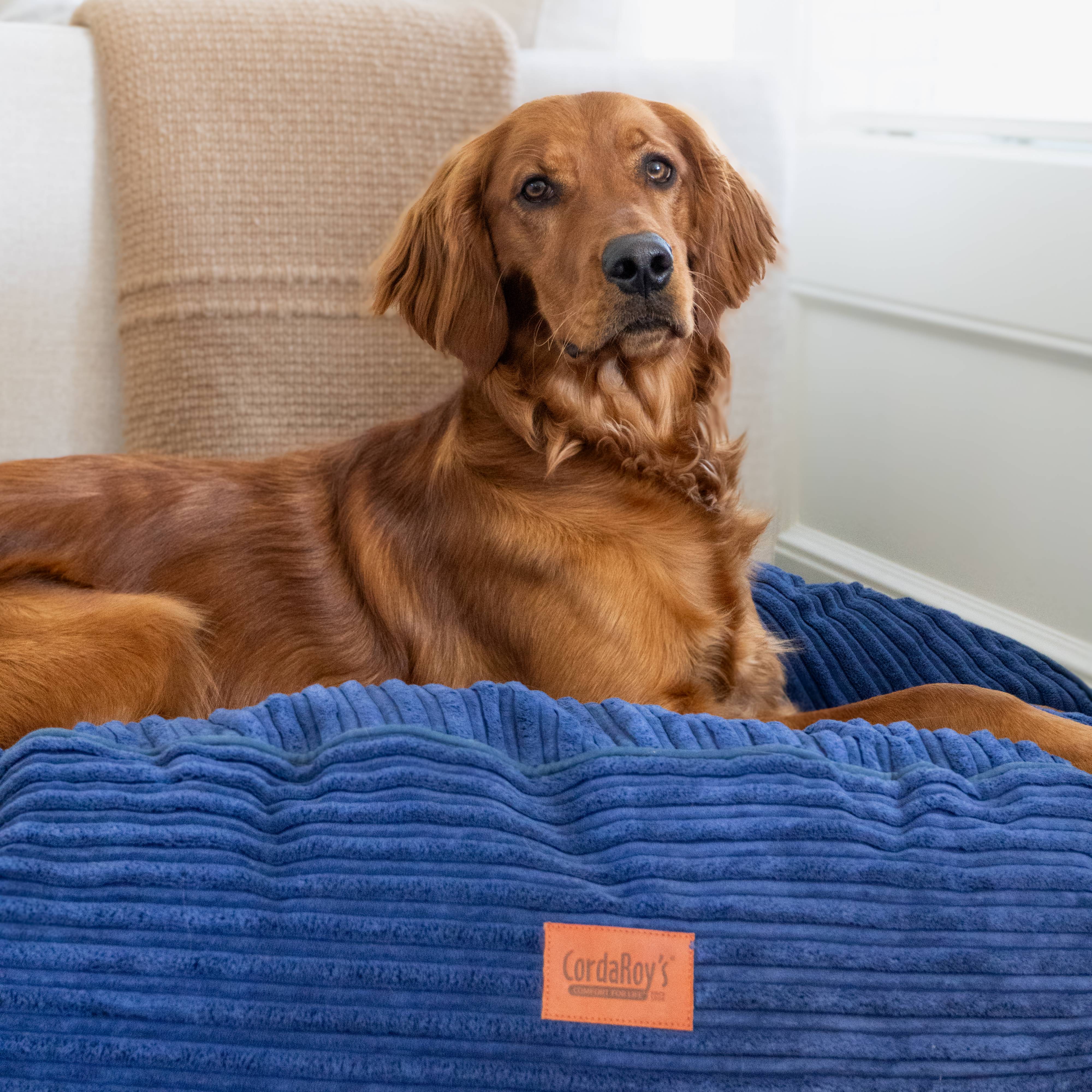 40 Inch Forever Dog Bed (Waterproof) - Terry Corduroy