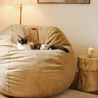 Bean Bag - Full - Corduroy