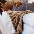 XXL Plush Corduroy Blanket