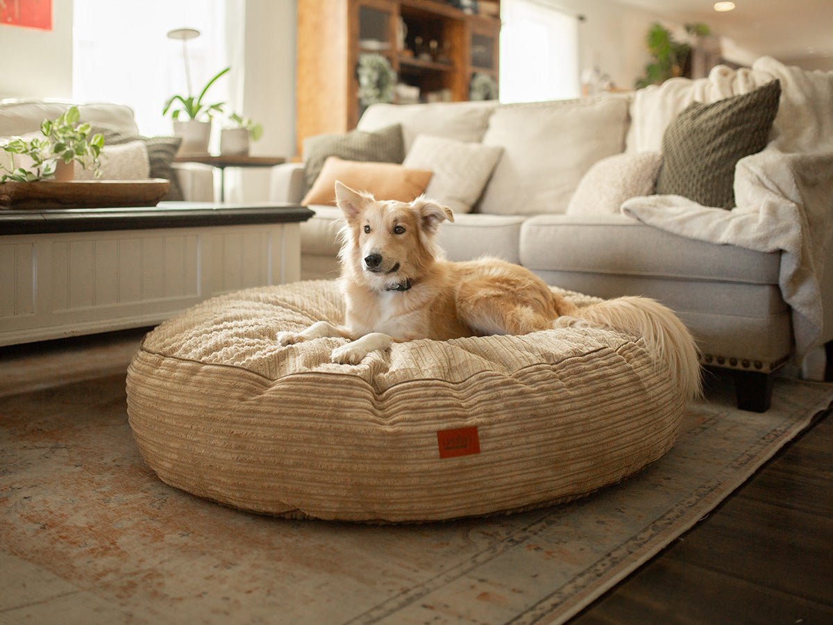 Dog Beds