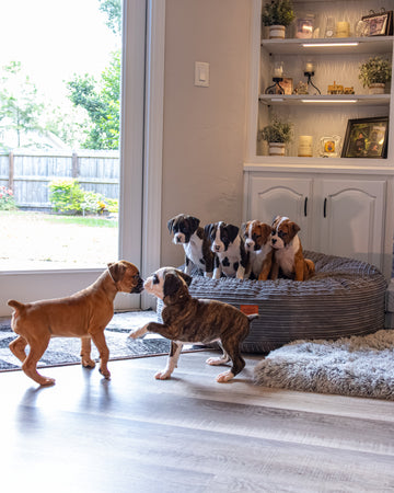 50 Inch Forever Dog Bed (Waterproof) - Terry Corduroy