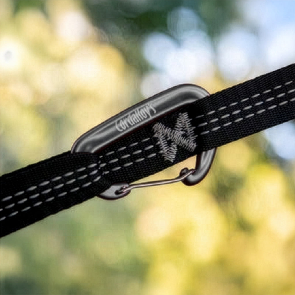 Hammock Carabiners (2 Pack)