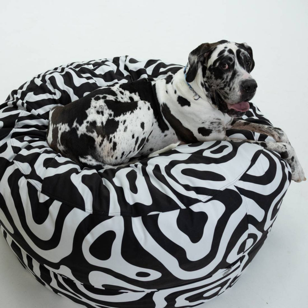 Dog lying on a black and white patterned dog bed against a white background