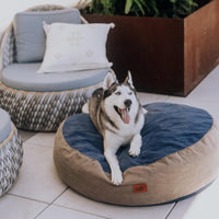 30 Inch Forever Dog Beds