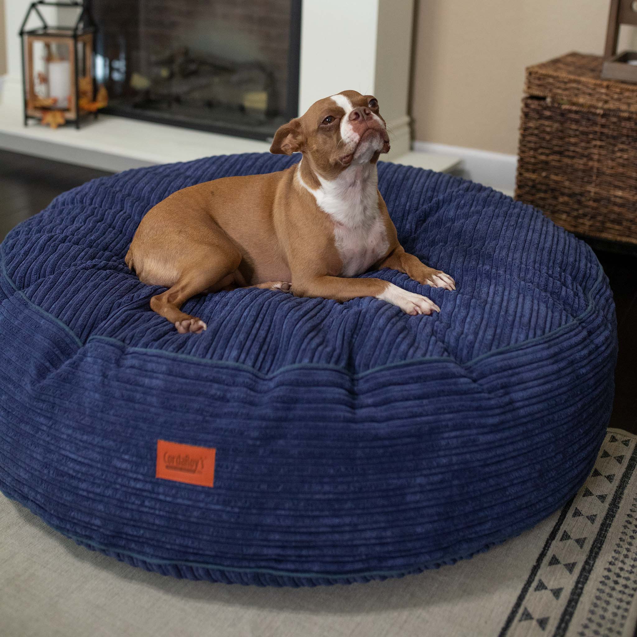50 Inch Forever Dog Beds (Waterproof) Terry Corduroy CordaRoy's