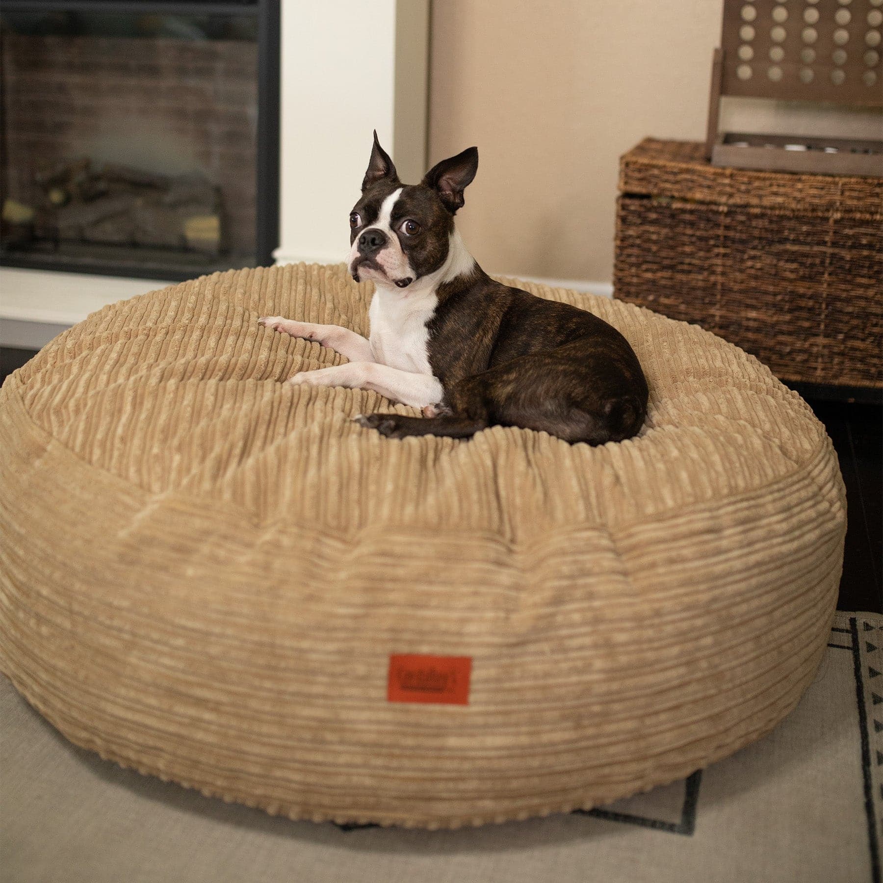 30 Inch Forever Dog Bed (Waterproof) - Terry Corduroy